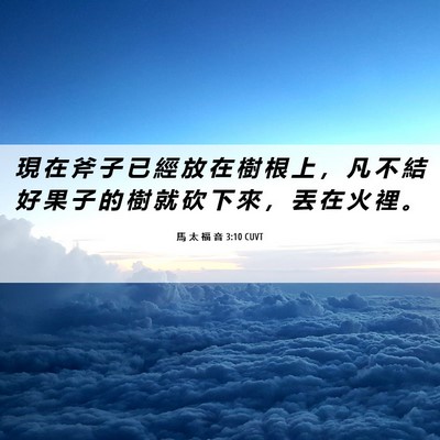 Picture 06 - 馬 太 福 音 3:10 CUVT - 現 在 斧 子 已 經 放 在 樹 根 上 ， - Bible Verse Picture