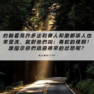 Picture 06 - 馬 太 福 音 3:7 CUVT - 約 翰 看 見 許 多 法 利 賽 人 和 撒 - Bible Verse Picture