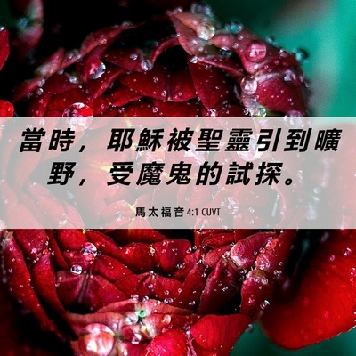 Picture 06 - 馬 太 福 音 4:1 CUVT - 當 時 ， 耶 穌 被 聖 靈 引 到 曠 野 - Bible Verse Picture