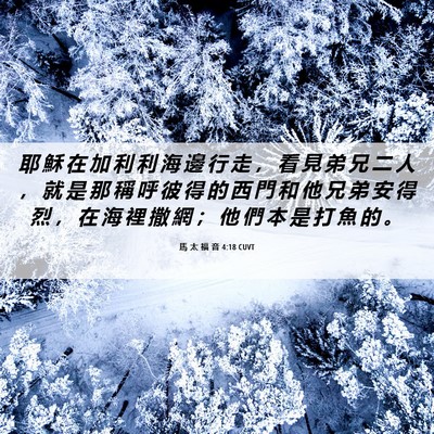 Picture 06 - 馬 太 福 音 4:18 CUVT - 耶 穌 在 加 利 利 海 邊 行 走 ， 看 - Bible Verse Picture