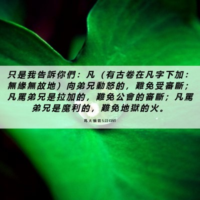 Picture 06 - 馬 太 福 音 5:22 CUVT - 只 是 我 告 訴 你 們 ： 凡 （ 有 古 - Bible Verse Picture