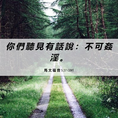 Picture 06 - 馬 太 福 音 5:27 CUVT - 你 們 聽 見 有 話 說 ： 不 可 姦 淫 - Bible Verse Picture