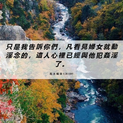 Picture 06 - 馬 太 福 音 5:28 CUVT - 只 是 我 告 訴 你 們 ， 凡 看 見 婦 - Bible Verse Picture