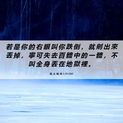 Picture 06 - 馬 太 福 音 5:29 CUVT - 若 是 你 的 右 眼 叫 你 跌 倒 ， 就 - Bible Verse Picture
