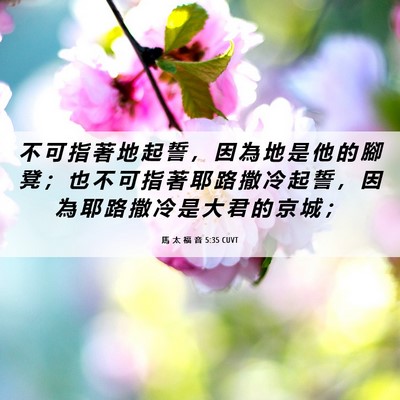 Picture 06 - 馬 太 福 音 5:35 CUVT - 不 可 指 著 地 起 誓 ， 因 為 地 是 - Bible Verse Picture