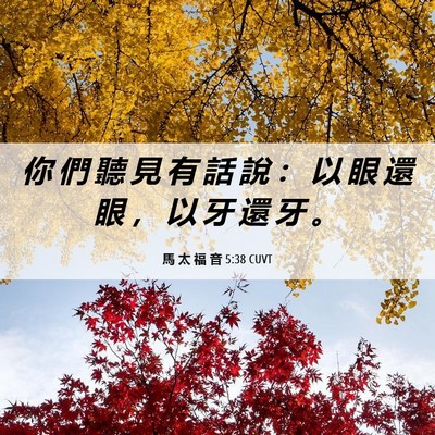 Picture 06 - 馬 太 福 音 5:38 CUVT - 你 們 聽 見 有 話 說 ： 以 眼 還 眼 - Bible Verse Picture