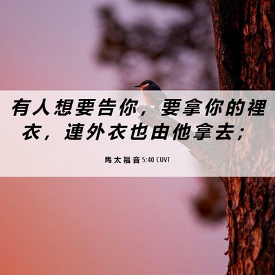 Picture 06 - 馬 太 福 音 5:40 CUVT - 有 人 想 要 告 你 ， 要 拿 你 的 裡 - Bible Verse Picture