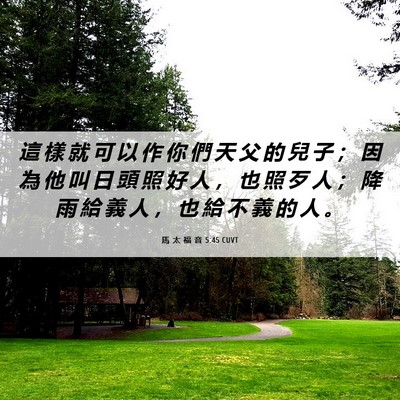 Picture 06 - 馬 太 福 音 5:45 CUVT - 這 樣 就 可 以 作 你 們 天 父 的 兒 - Bible Verse Picture