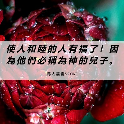 Picture 06 - 馬 太 福 音 5:9 CUVT - 使 人 和 睦 的 人 有 福 了 ！ 因 為 - Bible Verse Picture