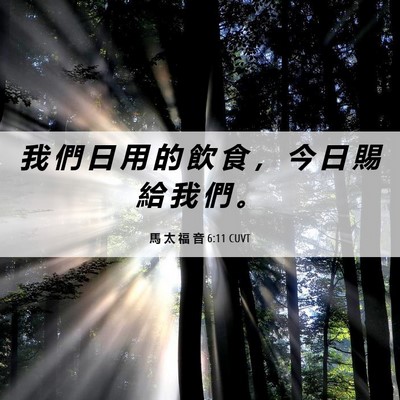 Picture 06 - 馬 太 福 音 6:11 CUVT - 我 們 日 用 的 飲 食 ， 今 日 賜 給 - Bible Verse Picture