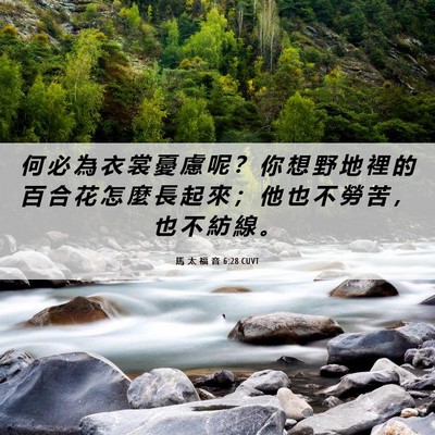 Picture 06 - 馬 太 福 音 6:28 CUVT - 何 必 為 衣 裳 憂 慮 呢 ？ 你 想 野 - Bible Verse Picture