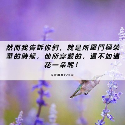 Picture 06 - 馬 太 福 音 6:29 CUVT - 然 而 我 告 訴 你 們 ， 就 是 所 羅 - Bible Verse Picture