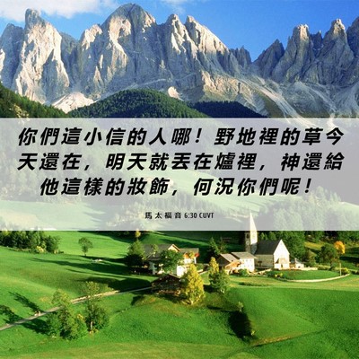 Picture 06 - 馬 太 福 音 6:30 CUVT - 你 們 這 小 信 的 人 哪 ！ 野 地 裡 - Bible Verse Picture