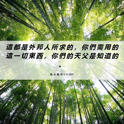 Picture 06 - 馬 太 福 音 6:32 CUVT - 這 都 是 外 邦 人 所 求 的 ， 你 們 - Bible Verse Picture