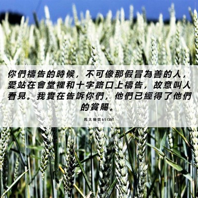 Picture 06 - 馬 太 福 音 6:5 CUVT - 你 們 禱 告 的 時 候 ， 不 可 像 那 - Bible Verse Picture