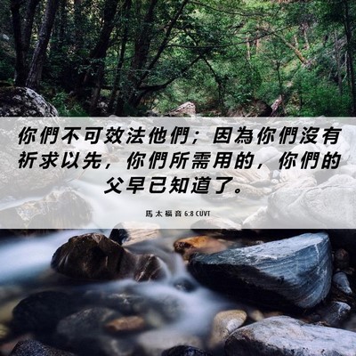 Picture 06 - 馬 太 福 音 6:8 CUVT - 你 們 不 可 效 法 他 們 ； 因 為 你 - Bible Verse Picture