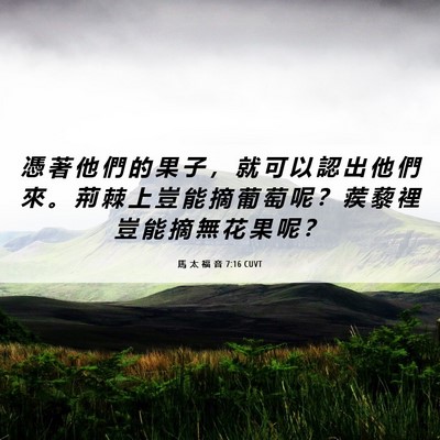 Picture 06 - 馬 太 福 音 7:16 CUVT - 憑 著 他 們 的 果 子 ， 就 可 以 認 - Bible Verse Picture