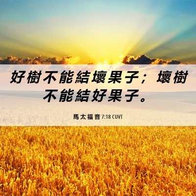 Picture 06 - 馬 太 福 音 7:18 CUVT - 好 樹 不 能 結 壞 果 子 ； 壞 樹 不 - Bible Verse Picture