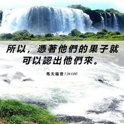 Picture 06 - 馬 太 福 音 7:20 CUVT - 所 以 ， 憑 著 他 們 的 果 子 就 可 - Bible Verse Picture