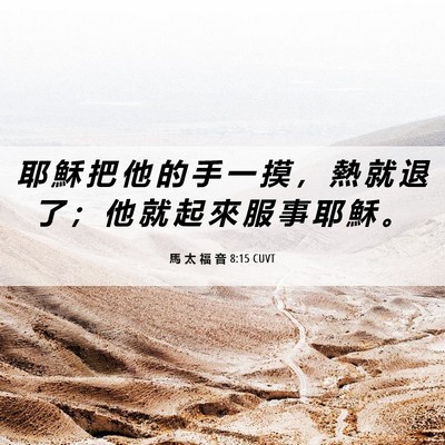 Picture 06 - 馬 太 福 音 8:15 CUVT - 耶 穌 把 他 的 手 一 摸 ， 熱 就 退 - Bible Verse Picture