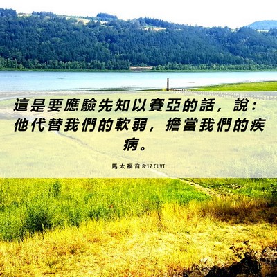 Picture 06 - 馬 太 福 音 8:17 CUVT - 這 是 要 應 驗 先 知 以 賽 亞 的 話 - Bible Verse Picture