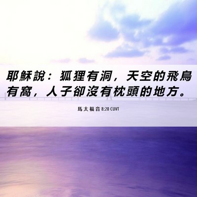 Picture 06 - 馬 太 福 音 8:20 CUVT - 耶 穌 說 ： 狐 狸 有 洞 ， 天 空 的 - Bible Verse Picture