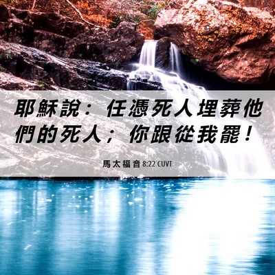 Picture 06 - 馬 太 福 音 8:22 CUVT - 耶 穌 說 ： 任 憑 死 人 埋 葬 他 們 - Bible Verse Picture