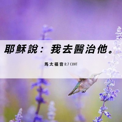 Picture 06 - 馬 太 福 音 8:7 CUVT - 耶 穌 說 ： 我 去 醫 治 他 - Bible Verse Picture