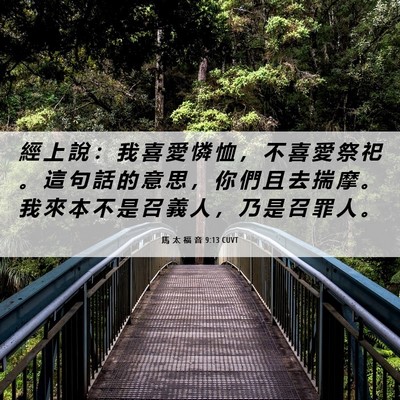 Picture 06 - 馬 太 福 音 9:13 CUVT - 經 上 說 ： 我 喜 愛 憐 恤 ， 不 喜 - Bible Verse Picture