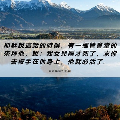 Picture 06 - 馬 太 福 音 9:18 CUVT - 耶 穌 說 這 話 的 時 候 ， 有 一 個 - Bible Verse Picture