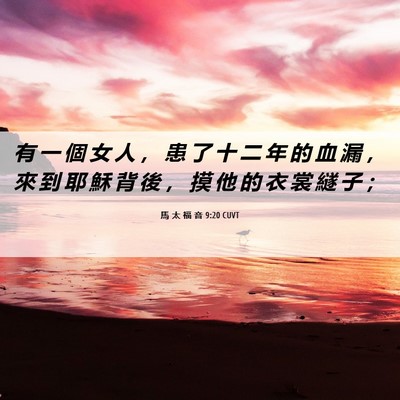 Picture 06 - 馬 太 福 音 9:20 CUVT - 有 一 個 女 人 ， 患 了 十 二 年 的 - Bible Verse Picture