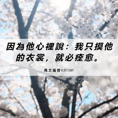 Picture 06 - 馬 太 福 音 9:21 CUVT - 因 為 他 心 裡 說 ： 我 只 摸 他 的 - Bible Verse Picture