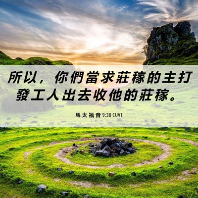 Picture 06 - 馬 太 福 音 9:38 CUVT - 所 以 ， 你 們 當 求 莊 稼 的 主 打 - Bible Verse Picture