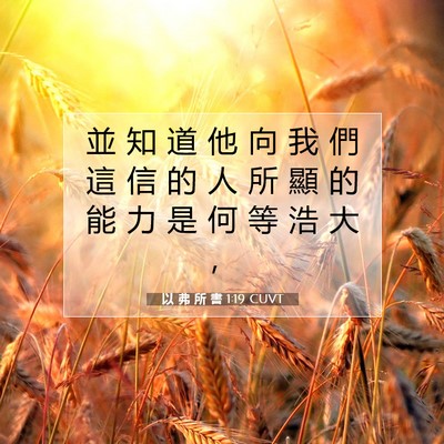 Picture 07 - 以 弗 所 書 1:19 CUVT - 並 知 道 他 向 我 們 這 信 的 人 所 - Bible Verse Picture
