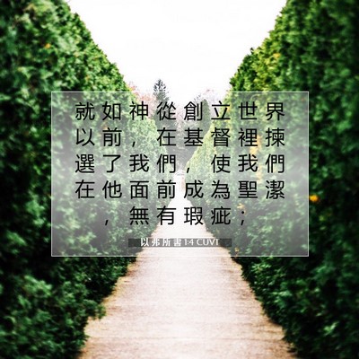 Picture 07 - 以 弗 所 書 1:4 CUVT - 就 如 神 從 創 立 世 界 以 前 ， 在 - Bible Verse Picture