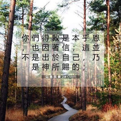 Picture 07 - 以 弗 所 書 2:8 CUVT - 你 們 得 救 是 本 乎 恩 ， 也 因 著 - Bible Verse Picture