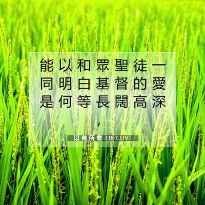 Picture 07 - 以 弗 所 書 3:18 CUVT - 能 以 和 眾 聖 徒 一 同 明 白 基 督 - Bible Verse Picture
