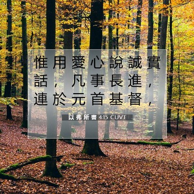Picture 07 - 以 弗 所 書 4:15 CUVT - 惟 用 愛 心 說 誠 實 話 ， 凡 事 長 - Bible Verse Picture