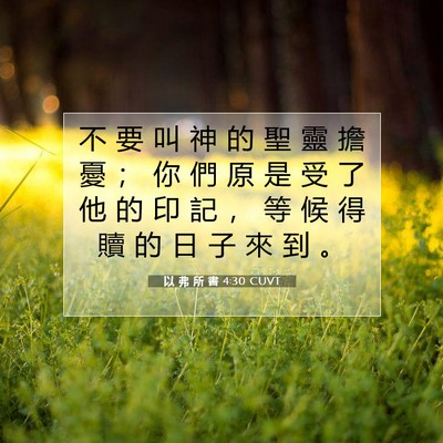 Picture 07 - 以 弗 所 書 4:30 CUVT - 不 要 叫 神 的 聖 靈 擔 憂 ； 你 們 - Bible Verse Picture