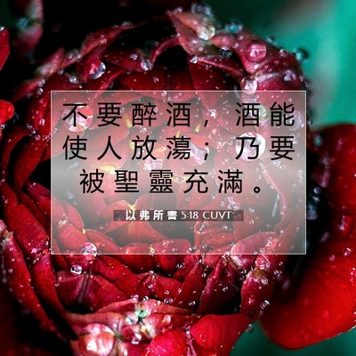 Picture 07 - 以 弗 所 書 5:18 CUVT - 不 要 醉 酒 ， 酒 能 使 人 放 蕩 ； - Bible Verse Picture