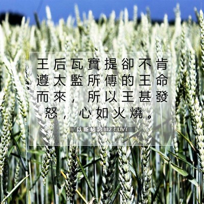 Picture 07 - 以 斯 帖 記 1:12 CUVT - 王 后 瓦 實 提 卻 不 肯 遵 太 監 所 - Bible Verse Picture