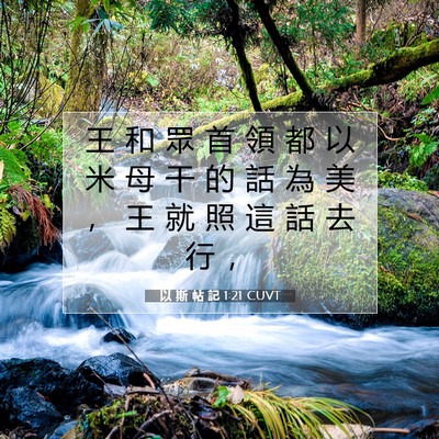 Picture 07 - 以 斯 帖 記 1:21 CUVT - 王 和 眾 首 領 都 以 米 母 干 的 話 - Bible Verse Picture