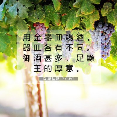 Picture 07 - 以 斯 帖 記 1:7 CUVT - 用 金 器 皿 賜 酒 ， 器 皿 各 有 不 - Bible Verse Picture