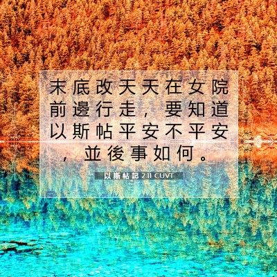 Picture 07 - 以 斯 帖 記 2:11 CUVT - 末 底 改 天 天 在 女 院 前 邊 行 走 - Bible Verse Picture