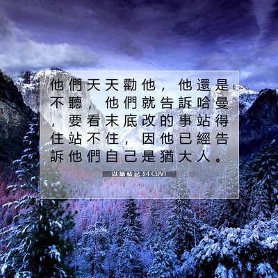 Picture 07 - 以 斯 帖 記 3:4 CUVT - 他 們 天 天 勸 他 ， 他 還 是 不 聽 - Bible Verse Picture