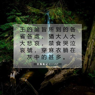 Picture 07 - 以 斯 帖 記 4:3 CUVT - 王 的 諭 旨 所 到 的 各 省 各 處 ， - Bible Verse Picture