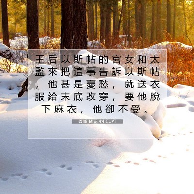 Picture 07 - 以 斯 帖 記 4:4 CUVT - 王 后 以 斯 帖 的 宮 女 和 太 監 來 - Bible Verse Picture