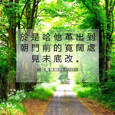 Picture 07 - 以 斯 帖 記 4:6 CUVT - 於 是 哈 他 革 出 到 朝 門 前 的 寬 - Bible Verse Picture