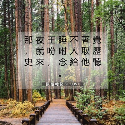 Picture 07 - 以 斯 帖 記 6:1 CUVT - 那 夜 王 睡 不 著 覺 ， 就 吩 咐 人 - Bible Verse Picture