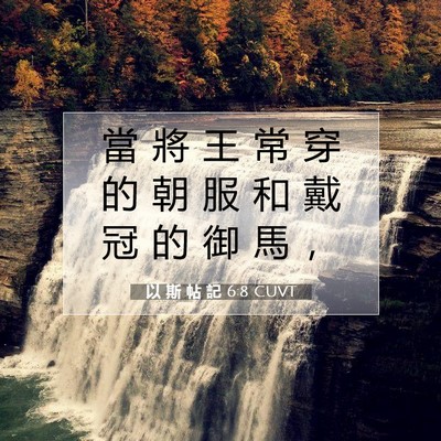 Picture 07 - 以 斯 帖 記 6:8 CUVT - 當 將 王 常 穿 的 朝 服 和 戴 冠 的 - Bible Verse Picture